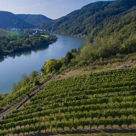 Moselhoehe - 2023 Neu Renoviert, Mit Design-ausstattung & Grossem Garten Lejlighed *