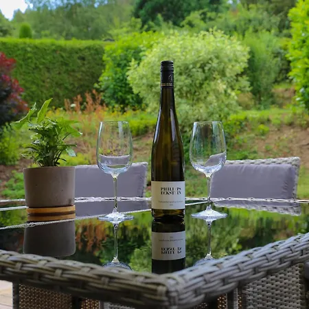 Moselhoehe - 2023 Neu Renoviert, Mit Design-ausstattung & Grossem Garten Lejlighed *