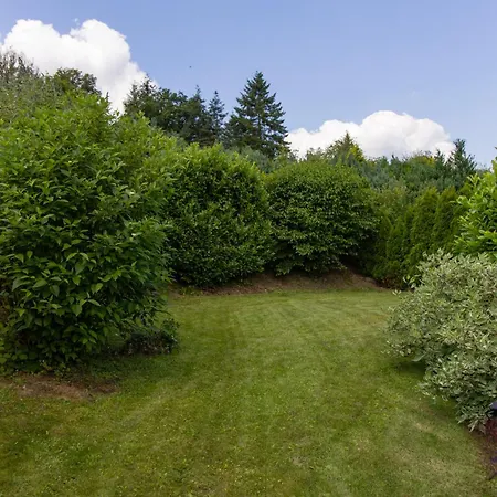 Moselhoehe - 2023 Neu Renoviert, Mit Design-ausstattung & Grossem Garten דירה טראבן-טרארבאך