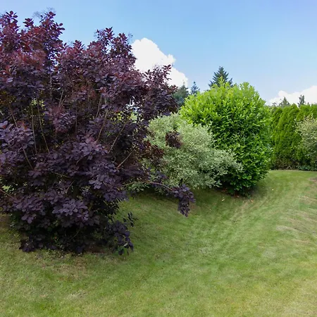 Moselhoehe - 2023 Neu Renoviert, Mit Design-ausstattung & Grossem Garten דירה