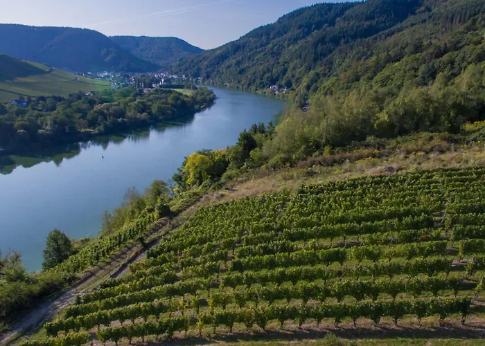 Moselhoehe - 2023 Neu Renoviert, Mit Design-ausstattung & Grossem Garten Apartamento *