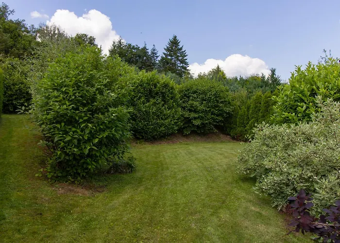 Moselhoehe - 2023 Neu Renoviert, Mit Design-ausstattung & Grossem Garten Apartamento Traben-Trarbach