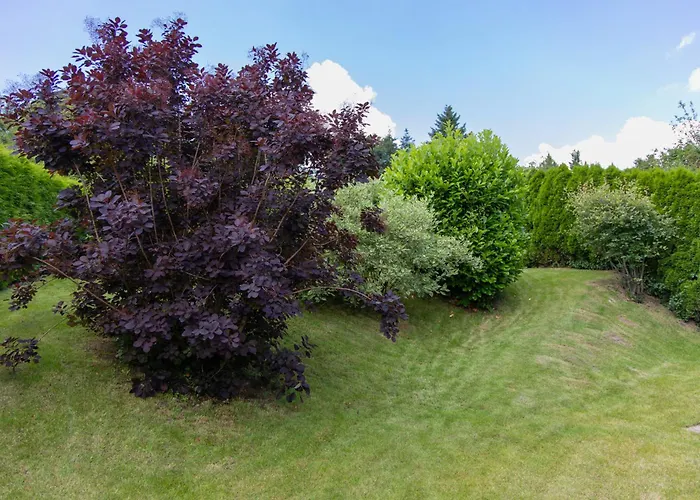 Moselhoehe - 2023 Neu Renoviert, Mit Design-ausstattung & Grossem Garten Apartamento