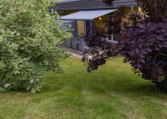 Moselhoehe - 2023 Neu Renoviert, Mit Design-ausstattung & Grossem Garten Apartamento Traben-Trarbach